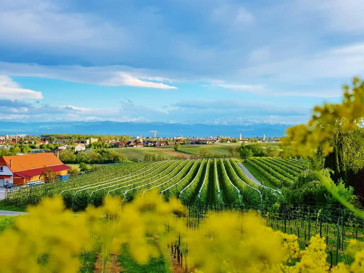 Casa Muro Friedrichshafen Zewnętrze zdjęcie